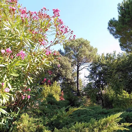 Brin D Ardeche Bed & Breakfast Lentilleres