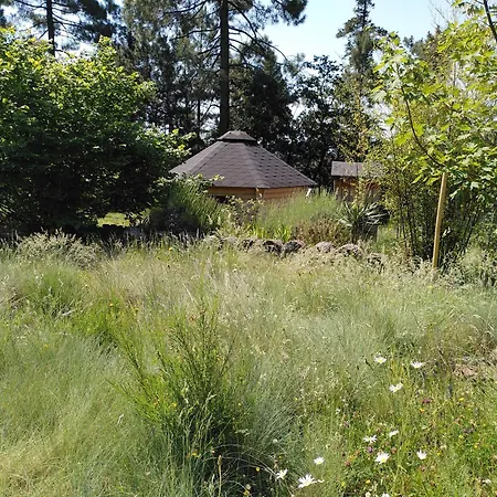 Brin D Ardeche Bed & Breakfast Lentilleres